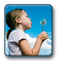 Kold Breeze Summer Relief
