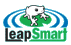 LeapSmart Inc.