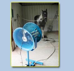 FREESTANDING LIVESTOCK FAN